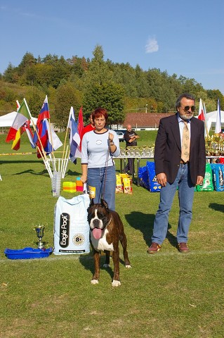 www.boxer-show.eu